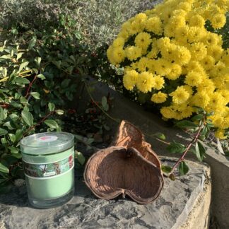 Vonná svíčka ve skle Borovice - malá