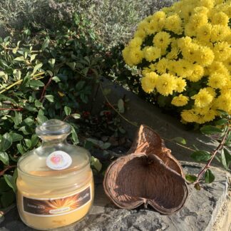 Vonná svíčka ve skle "Andělské světlo" - střední