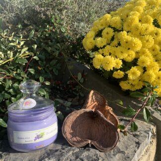 Vonná svíčka ve skle Levandule - střední