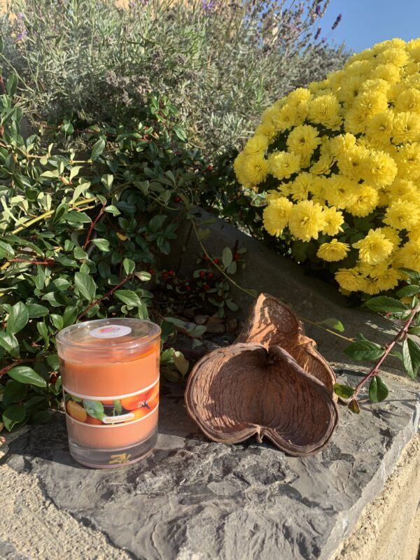 Vonná svíčka ve skle Mandarinka - malá