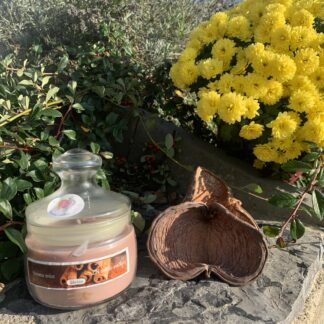 Vonná svíčka ve skle Skořice - střední